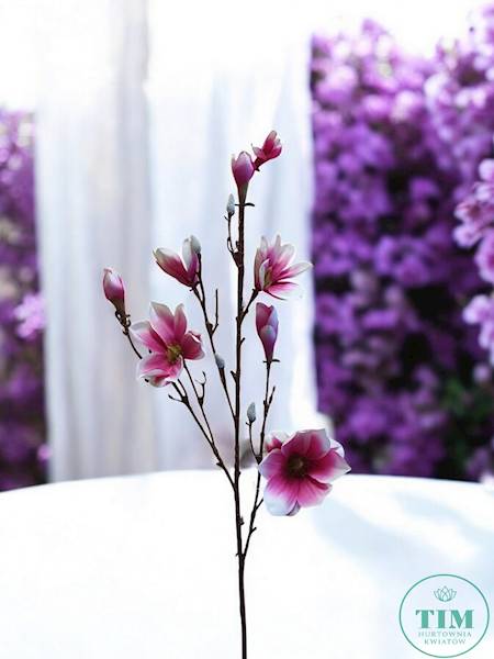 MAGNOLIA GAŁĄZKA SUN792 RÓŻOWY
