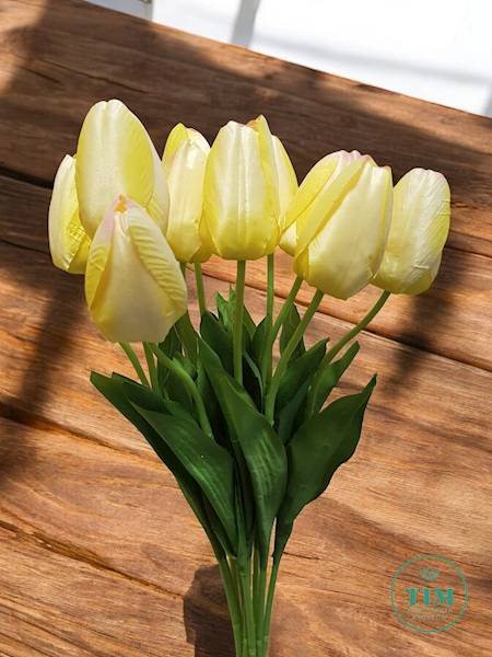TULIPAN BUKIET DL030107 MIX KOLOR