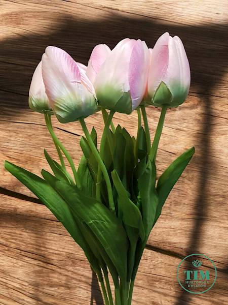 TULIPAN BUKIET DL030107 MIX KOLOR