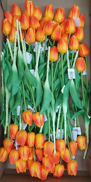 TULIPAN GAŁĄZKA KX15247 MIX KOLOR