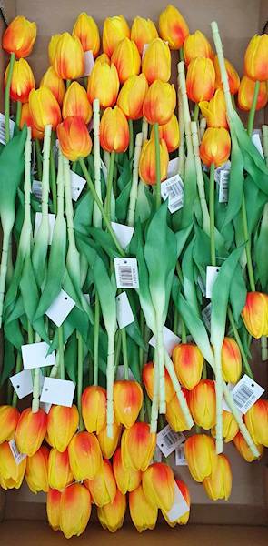 TULIPAN GAŁĄZKA KX15247 MIX KOLOR