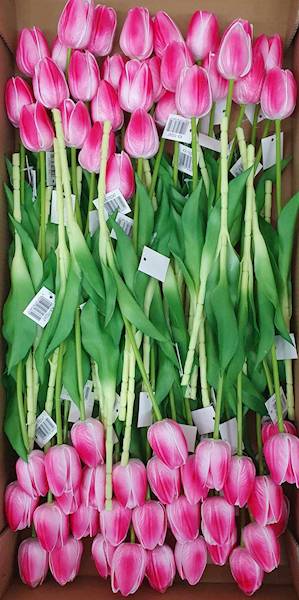 TULIPAN GAŁĄZKA KX15247 MIX KOLOR
