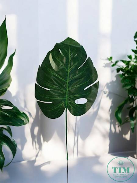LIŚĆ MONSTERA X12 KX15299 ZIELONY 