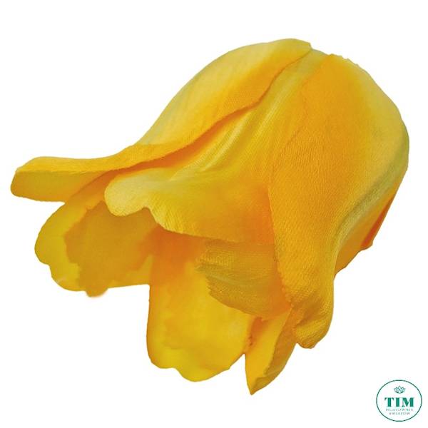 TULIPAN WYROBOWY X24 EV256 MIX KOLOR