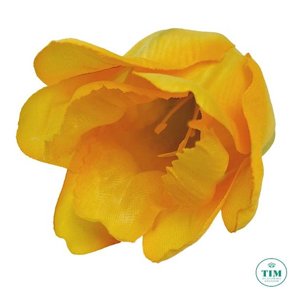 TULIPAN WYROBOWY X24 EV256 MIX KOLOR