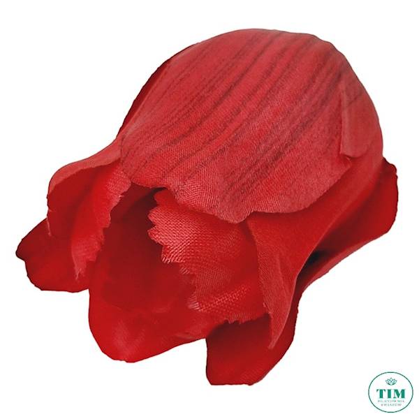 TULIPAN WYROBOWY X24 EV256 MIX KOLOR