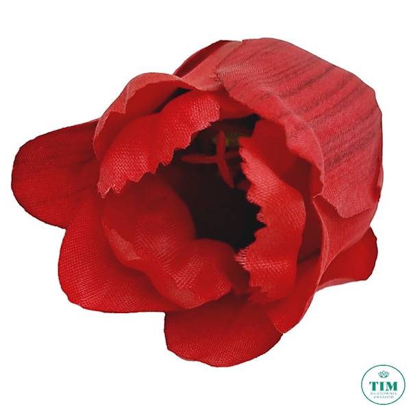 TULIPAN WYROBOWY X24 EV256 MIX KOLOR