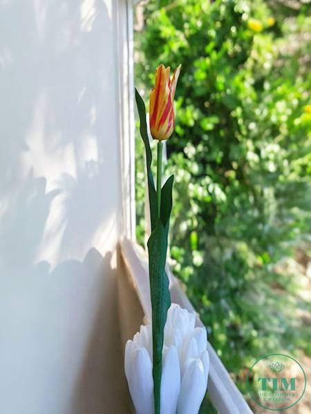 TULIPAN ALLADYN GAŁĄZKA SUN605 ŻÓŁTY 