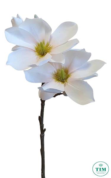 MAGNOLIA GAŁĄZKA SUN488 MORELOWY