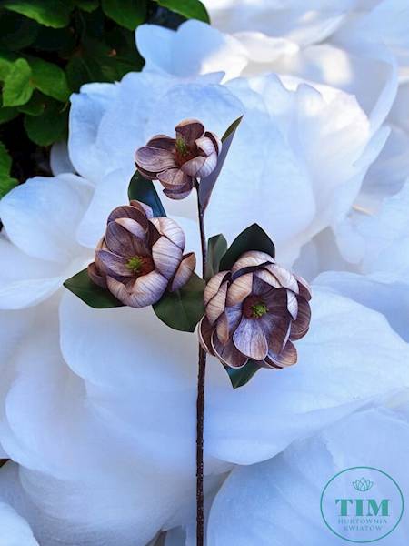 MAGNOLIA GAŁĄZKA PIANKA 7614300 MIX KOLOR