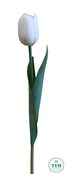 TULIPAN GAŁĄZKA GUMOWANY AJ06246 MIX KOLOR