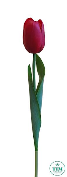 TULIPAN GAŁĄZKA GUMOWANY AJ06246 MIX KOLOR