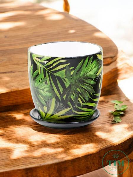 DONICA Z PODSTAWKĄ 0524320 MONSTERA ZIELONY