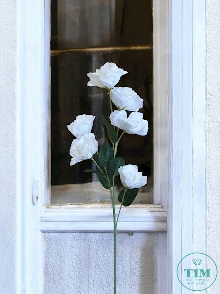 EUSTOMA GAŁĄZKA KX15328 MIX KOLOR