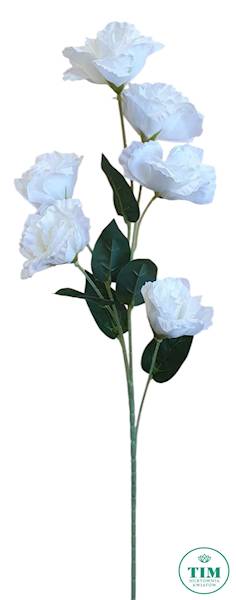 EUSTOMA GAŁĄZKA KX15328 MIX KOLOR