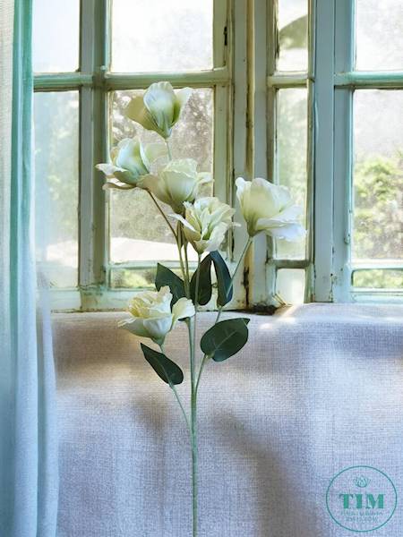 EUSTOMA GAŁĄZKA KX15328 MIX KOLOR