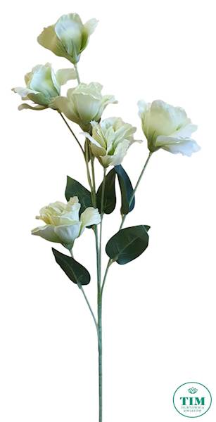 EUSTOMA GAŁĄZKA KX15328 MIX KOLOR