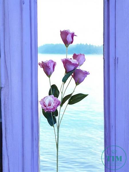 EUSTOMA GAŁĄZKA KX15328 MIX KOLOR