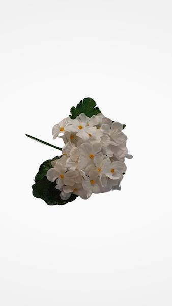 PRYMULKA BUKIET F001 MIX KOLOR