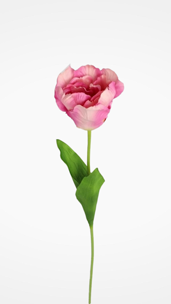 TULIPAN GAŁĄZKA 3CLF28 MIX KOLOR
