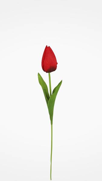TULIPAN GAŁĄZKA TY515 MIX KOLOR