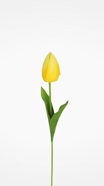TULIPAN GAŁĄZKA TY515 MIX KOLOR