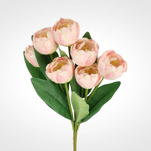 TULIPAN BUKIET TC4SF096 MIX KOLOR