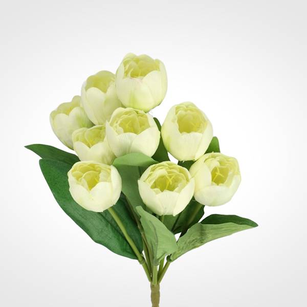 TULIPAN BUKIET TC4SF096 MIX KOLOR
