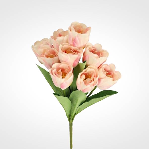 TULIPAN BUKIET TC4SF105 MIX KOLOR