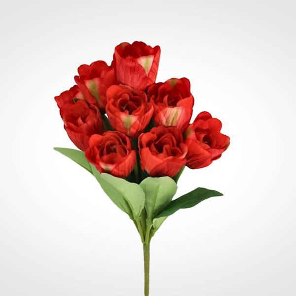TULIPAN BUKIET TC4SF105 MIX KOLOR