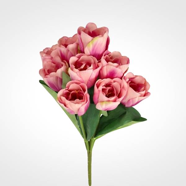 TULIPAN BUKIET TC4SF105 MIX KOLOR