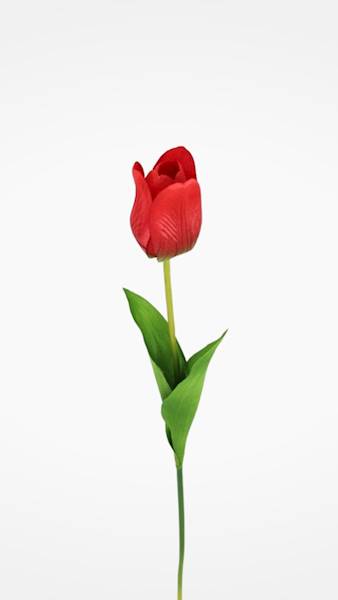 TULIPAN GAŁĄZKA TF511N MIX KOLOR
