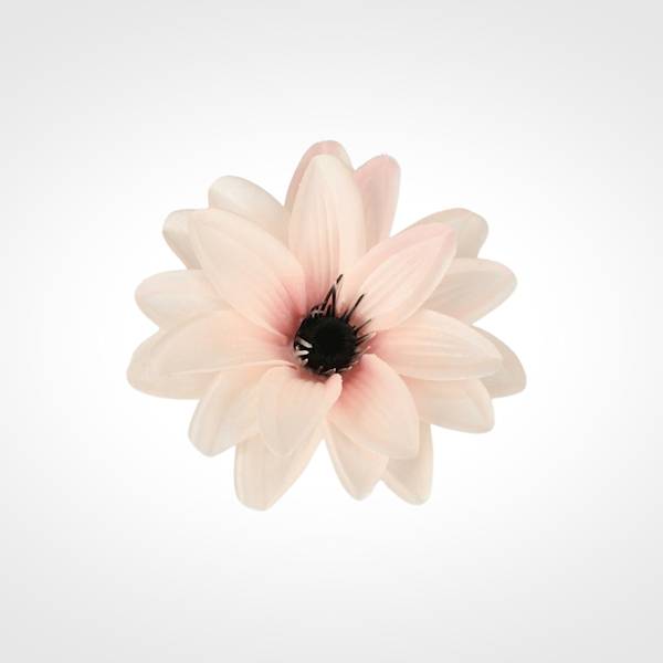 DALIA WYROBOWA X12 SHR71675 MIX KOLOR