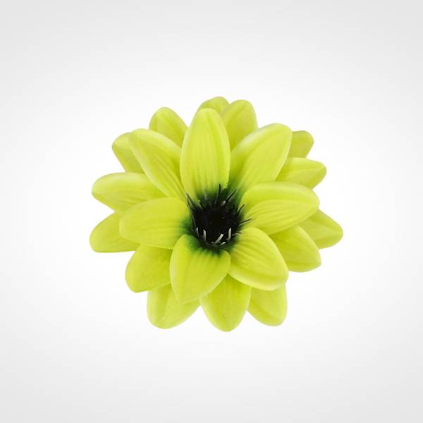 DALIA WYROBOWA X12 SHR71675 MIX KOLOR