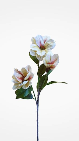 MAGNOLIA GAŁĄZKA GUMOWANA WEI1005 MIX1 MIX KOLOR