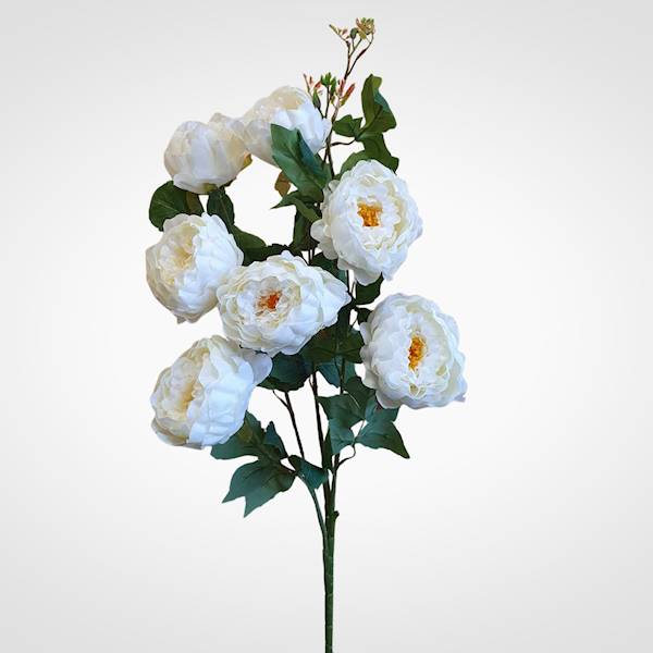 PIWONIA BUKIET ASC246522A KREMOWY