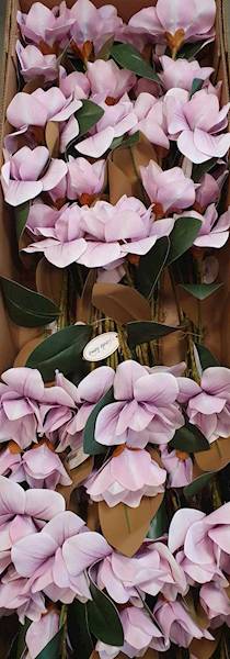 MAGNOLIA GAŁĄZKA GUMOWANA ASC2406451 RÓŻOWY