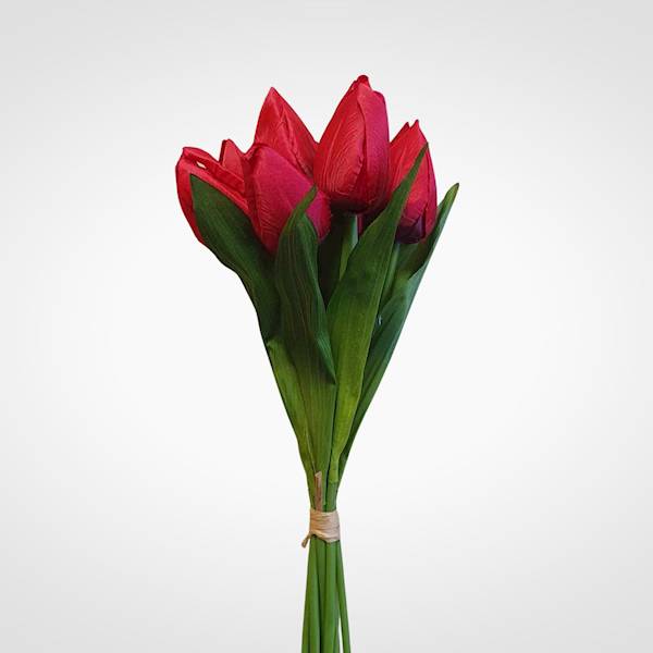TULIPAN BUKIET T9725 MIX KOLOR