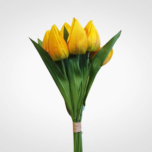 TULIPAN BUKIET T9725 MIX KOLOR