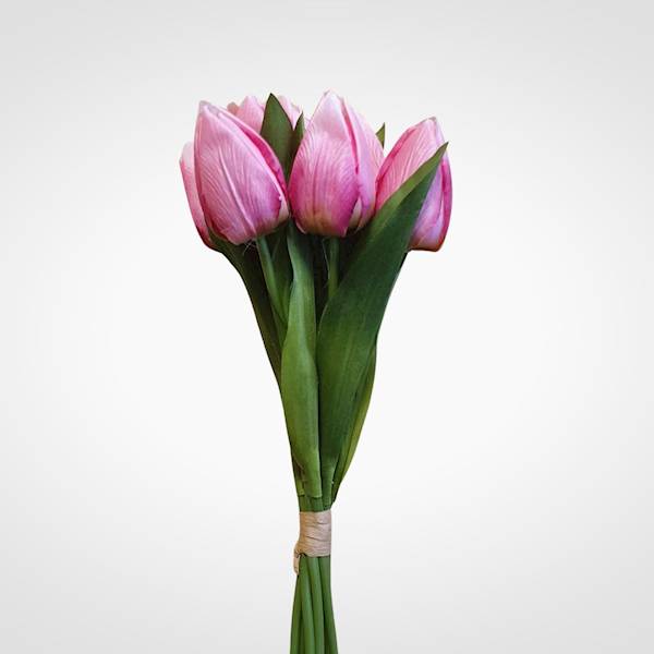 TULIPAN BUKIET T9725 MIX KOLOR