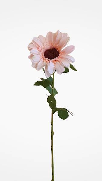 GERBERA GAŁĄZKA KWZ848 MIX KOLOR