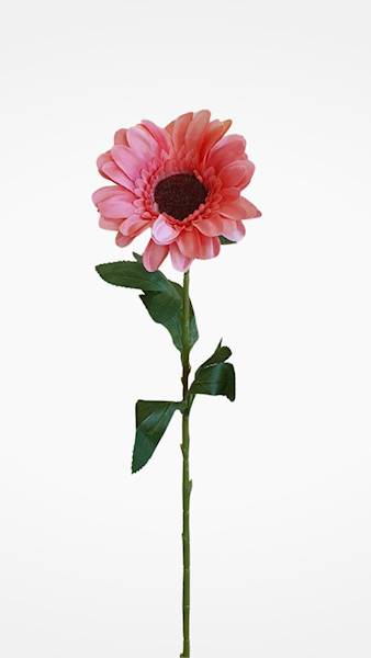 GERBERA GAŁĄZKA KWZ848 MIX KOLOR