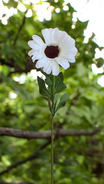 GERBERA GAŁĄZKA KWZ848 MIX KOLOR