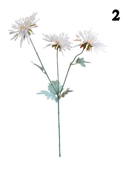 ASTER GAŁĄZKA TG223 MIX KOLOR