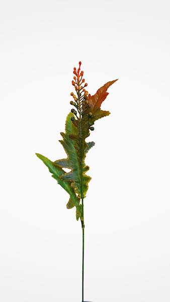 DODATEK X12 Z66600 MIX KOLOR