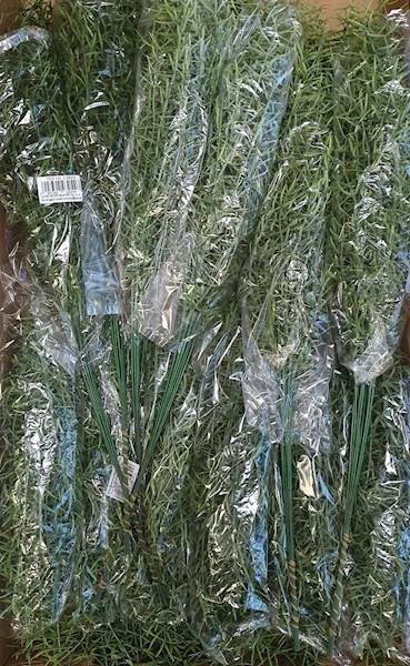 ASPARAGUS DODATEK Z68300 ZIELONY