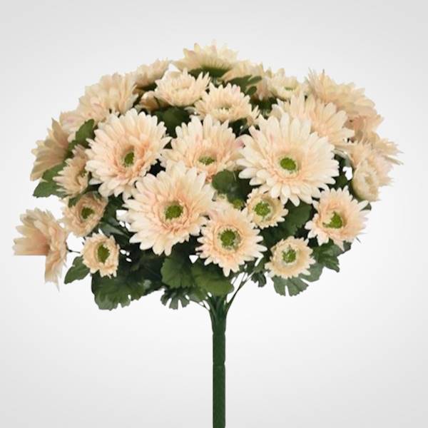 GERBERA BUKIET SUN650 MIX3 MIX KOLOR
