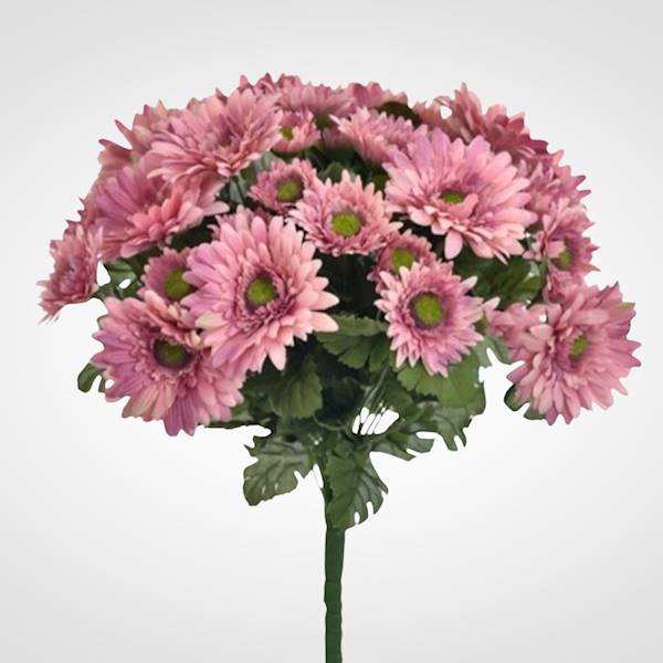 GERBERA BUKIET SUN650 MIX3 MIX KOLOR