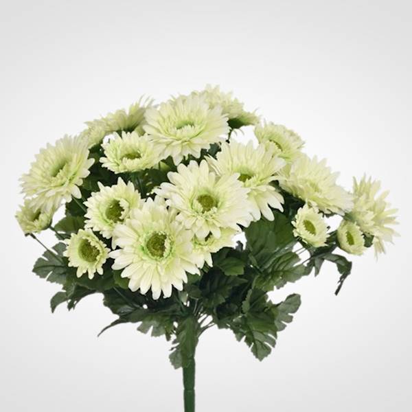 GERBERA BUKIET SUN650 MIX5 MIX KOLOR