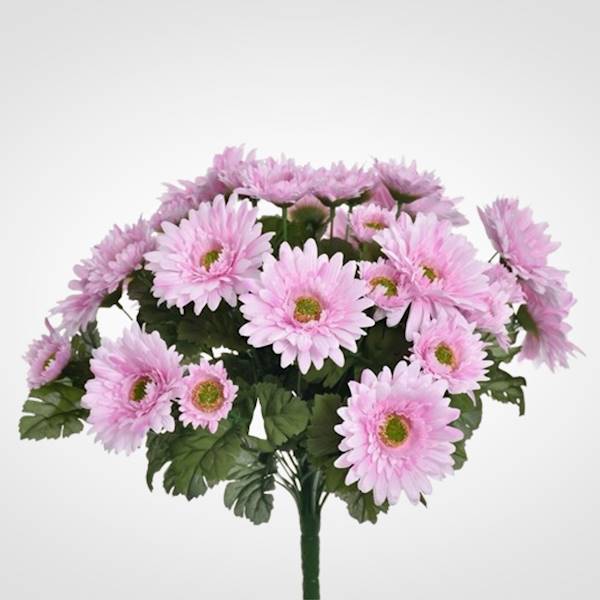 GERBERA BUKIET SUN650 MIX5 MIX KOLOR
